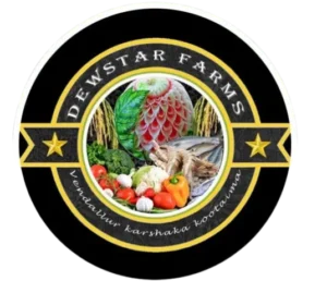 Freelance Digital Marketer in Qatar | Dewstarfarm